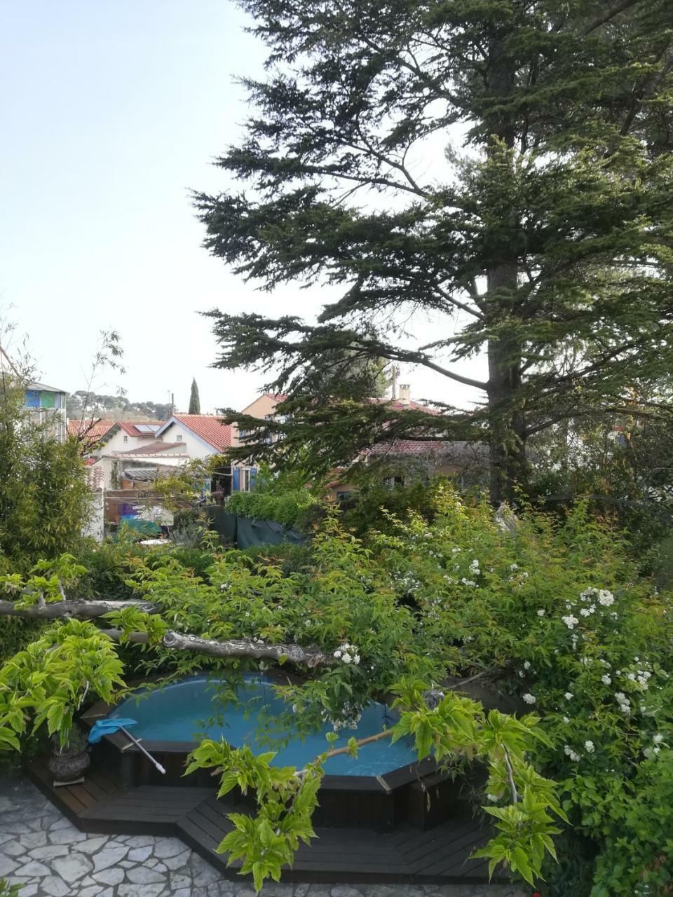 Grand studio avec piscine Montpellier Extérieur photo